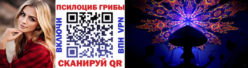 Псилоцибиновые грибы мицелий  Скопин 